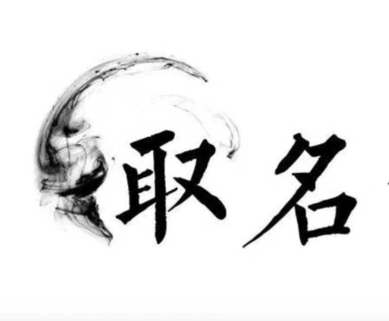  深圳市宝宝取名 大师一对一人工起名